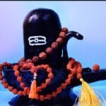 steps to follow while bringing shiva lingam to home