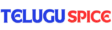 Telugu Spice