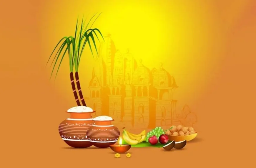 Bhogi puja and significance