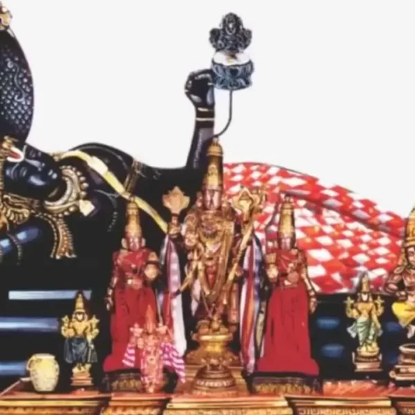 Chollangi Amavasya significance and puja vidhanam