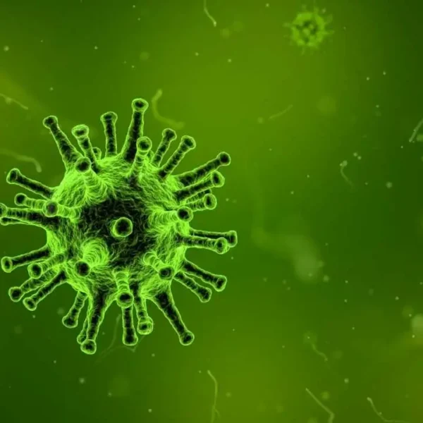 all you need to know about china new virus