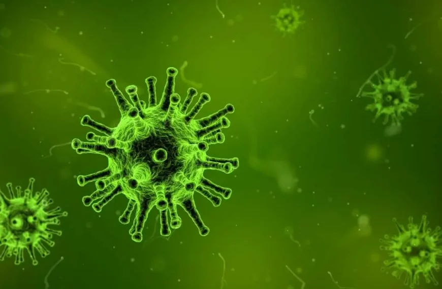 all you need to know about china new virus