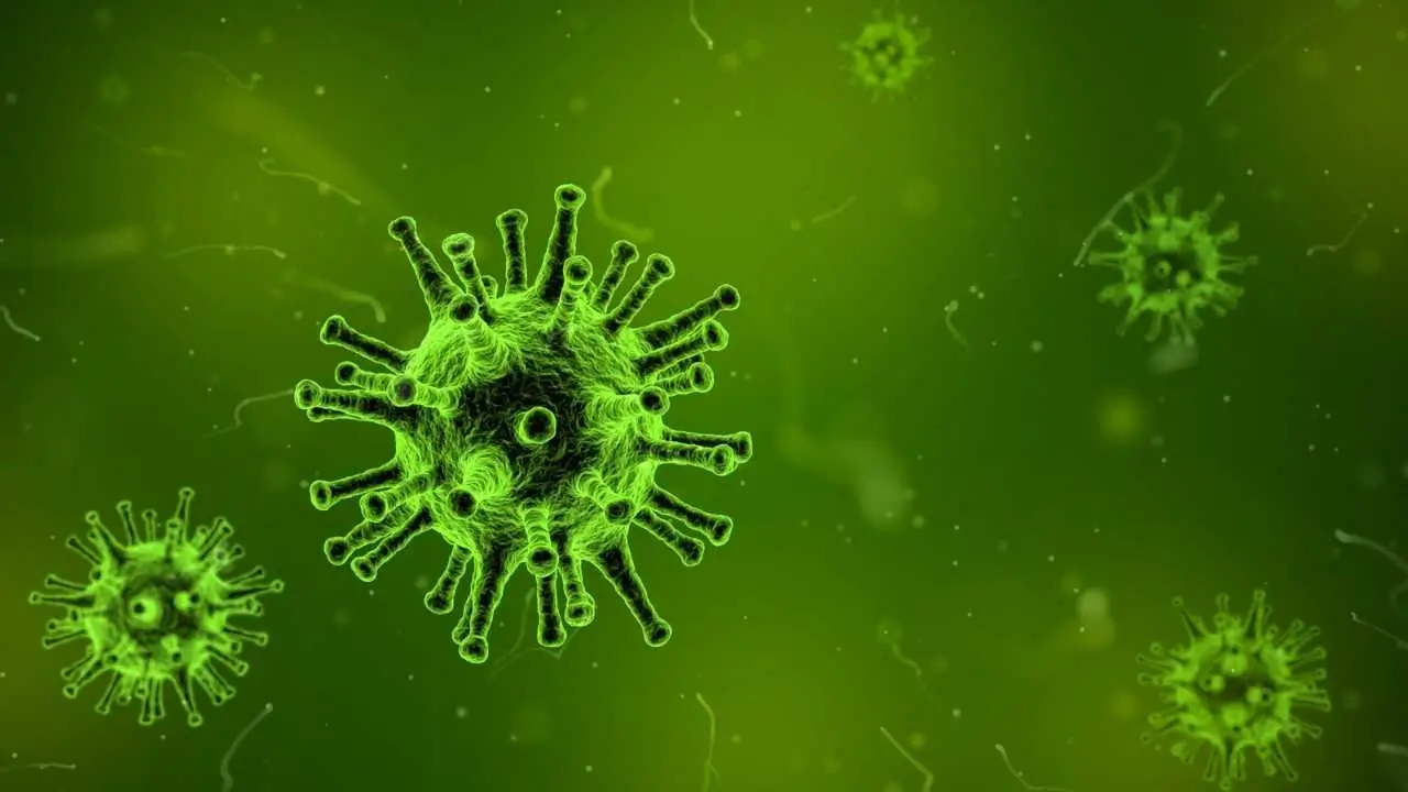 all you need to know about china new virus