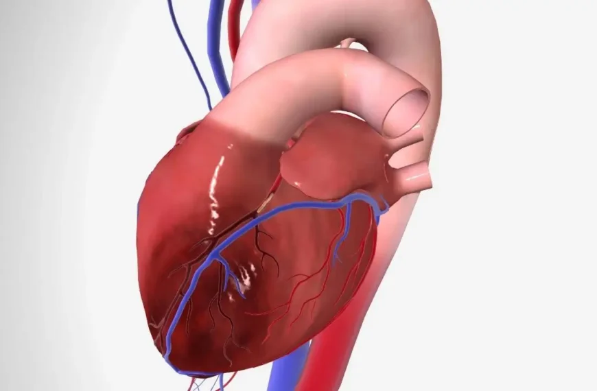 signs of Healthy Heart