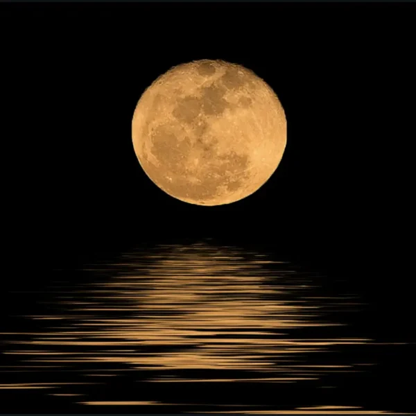 Magha pournami Pooja Vidhanam in Telugu