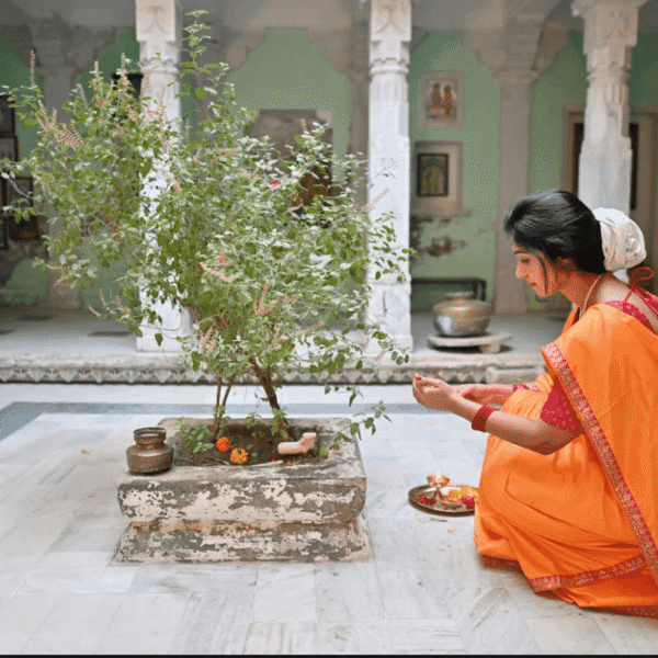 keep these things near Tulsi Plant