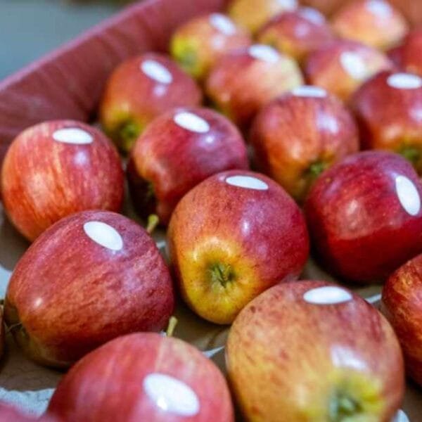 what-does-stickers-on-fruits-mean