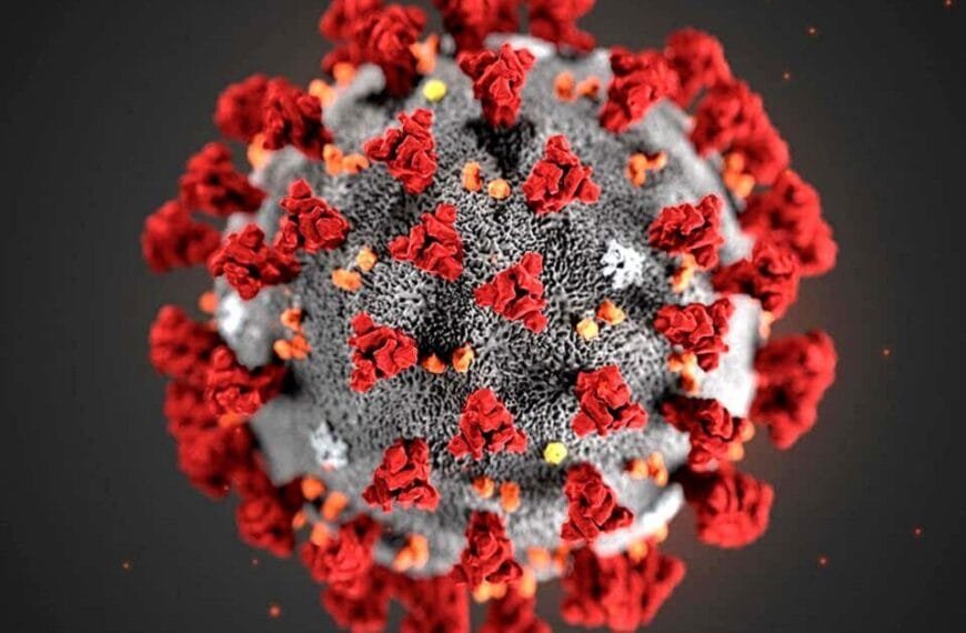 covid cases are again raising in singapore hongkong