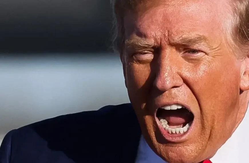 donald trump lashes at vladimir putin for air strike