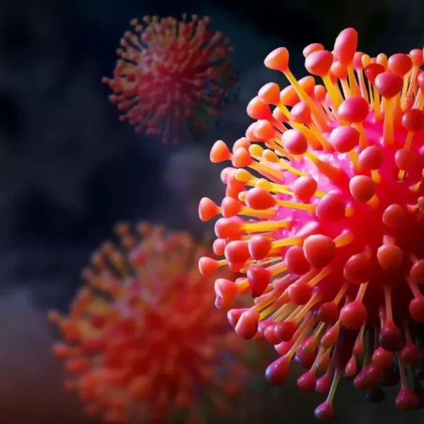 mumbai deaths are not related to Covid 19