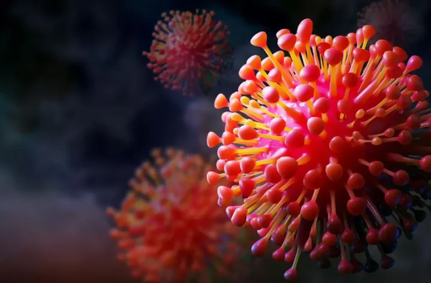 mumbai deaths are not related to Covid 19