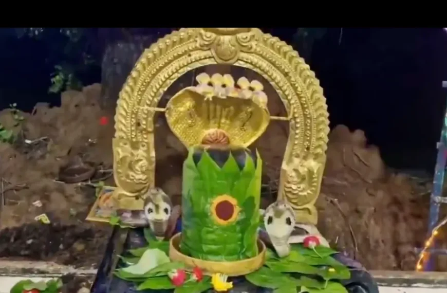 beautiful scene recorded in a nellore temple on Nagula Chavithi