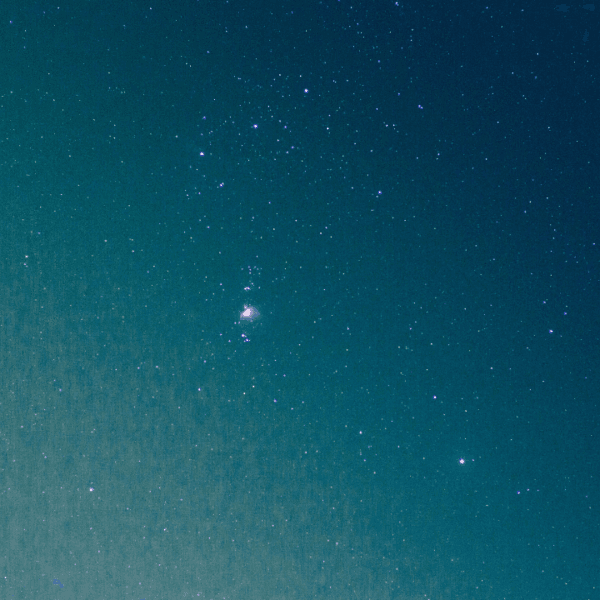 According to Astrology Makha nakshatra born people are going to be lucky this year