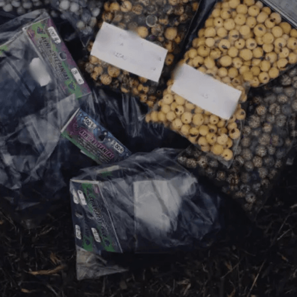 is china destroying american crops