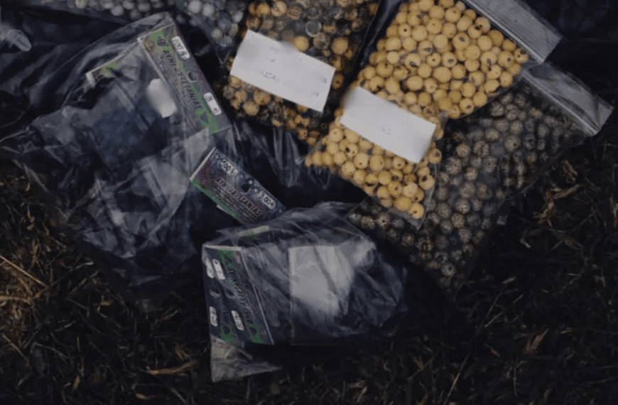 is china destroying american crops